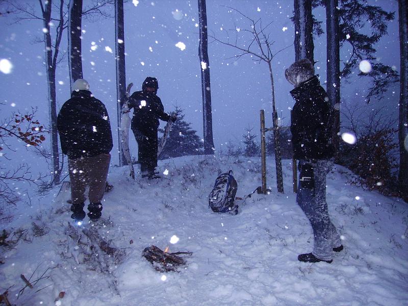 2010 12 12